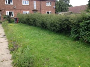 we offer seasonal garden miantenance in sale and throughout trafford